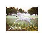 Calendrier Poulains 2026