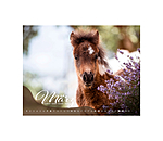 Calendrier Poulains 2026