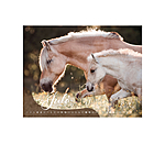 Calendrier Poulains 2026