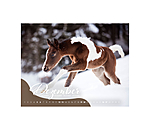 Calendrier Poulains 2026