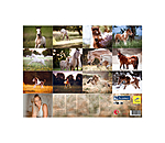 Calendrier Poulains 2026