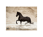 Calendrier frisons 2026