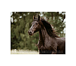 Calendrier frisons 2026