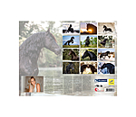 Calendrier frisons 2026