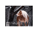 Calendrier Haflinger 2026