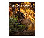 Calendrier 2026 Special Moments