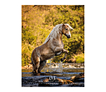 Calendrier 2026 Special Moments