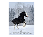 Calendrier 2026 Special Moments