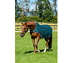 Chemise de marcheur anti-mouches  Economy Light