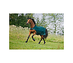 Chemise de marcheur anti-mouches  Economy Light