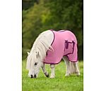 Couverture anti-mouches poulain et mini shetland  Kubi Fly