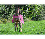 Chemise de marcheur imperm�able  Kasimo II, 0 g