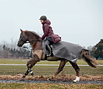 Couvre-reins softshell  Alecto avec couvre-cou amovible