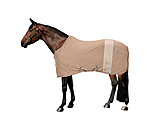 Couverture polaire  Teddy