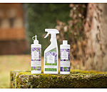 Shampoing  Eczemolin