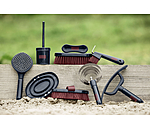 �trille am�ricaine  Maya