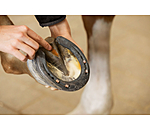 P�te pour fourchette et sole