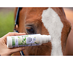 Gel anti-insectes � l'huile de neem  en flacon brosse