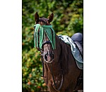 Chasse-mouches  prix conomique