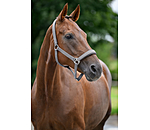 Licol en nylon � prix cass� II