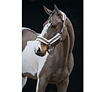 Licol en polaire Teddy  Anatomical Relaxation