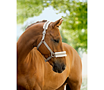 Licol en polaire Teddy � prix cass� III