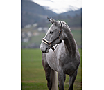 Licol avec polaire Teddy  Better Together