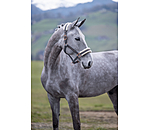 Licol avec polaire Teddy  Better Together