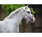 Licol poulain et shetland en polaire Teddy  Cozy Adjustable