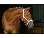 Licol anatomique  Relaxation