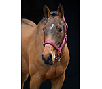 Licol anatomique  Relaxation