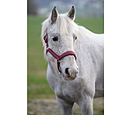 Licol anatomique  Relaxation