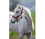 Licol anatomique  Relaxation