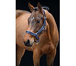 Licol anatomique  Relaxation