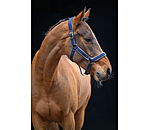 Licol anatomique  Relaxation