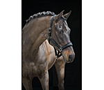 Licol  Velvet Twinkle