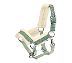 Licol pour poulain et shetland  Shine