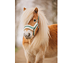 Licol pour poulain et shetland  Shine