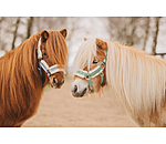 Licol pour poulain et shetland  Shine