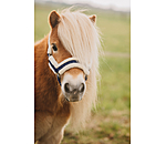 Licol pour poulain et shetland  Shine