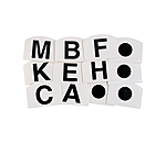 Lot de 12  lettres de dressage