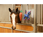 Jouet pour cheval  Carrot