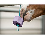 Bonbon  lcher  Lolly Rve d'hiver