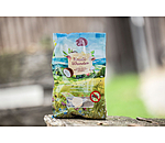 Assortiment de friandises  Bienfaits de l'ail