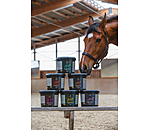 Complment minral premium  Gestation