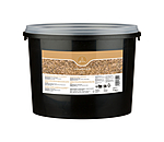 Graines de lin jaune