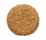 Graines de lin jaune