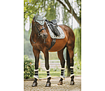 Gu�tres de dressage en polaire Teddy  Essential (ant�rieurs)