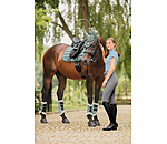 Gu�tres de dressage en polaire Teddy  Essential (ant�rieurs)
