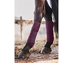 Bandes en polaire  Sparkling II